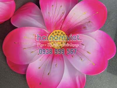 Bán hoa múa cầm tay  tại TPHCM 12