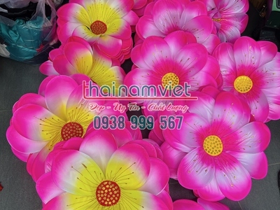 Bán hoa múa cầm tay  tại TPHCM 13