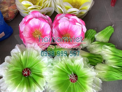 Bán hoa múa cầm tay  tại TPHCM 15