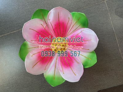 Bán hoa múa cầm tay  tại TPHCM 19