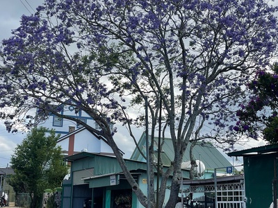 Đất vuông vức   view thoáng   giá đang giảm 4