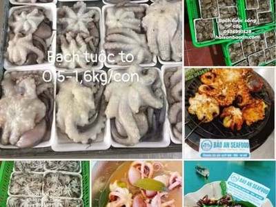Bạch tuộc tươi ngon giá tốt 0
