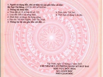 Siêu phẩm đất mặt tiền đường nhựa thị trấn hậu nghĩa, long an, giá đầu tư 1