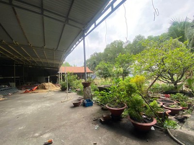 Bán gấp 2500m2  đất lô góc- mt - tỉnh lộ 15, phú hòa đông, củ chi  giá 42  tỷ 3