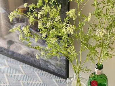 Chính chủ bán gấp căn 2PN Him Lam Phú An, sổ hồng sẵn hỗ trợ vay, view đẹp nhà thoáng, giá 4.1 tỷ 5