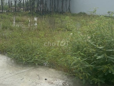 Chính chủ bán siêu phẩm đất đẹp - phù hợp cho mọi gia đình 1