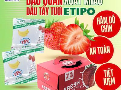 Gói chống chín trái cây hút khí ethylene 6