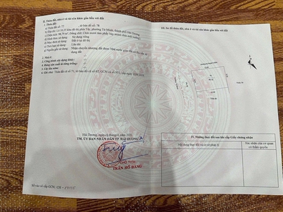 Bán lô đất mặt đường đôi Tứ Minh, phường Tứ Minh, TP Hải Dương, 98.79m2, mt 8m, KD 3