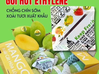 Cách sử dụng gói hút khí Ethylene Secco 5g hiệu quả cho Xoài 0