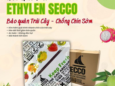 Cách sử dụng gói hút khí Ethylene Secco 5g hiệu quả cho Xoài 1