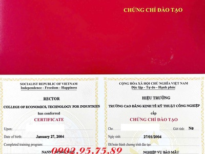Chứng chỉ nghiệp vụ Bảo mẫu 0