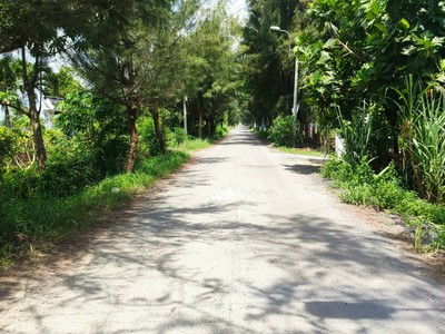 Cần bán 1ha đất lúa đường đê số 3 0