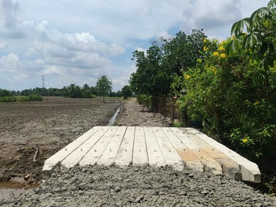 Cần bán 1ha đất lúa đường đê số 3 1