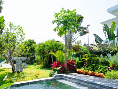 Chỉ 6 triệu/m  sở hữu 500m  biệt thự biển phước hải - sổ hồng riêng - trả góp 12 tháng 2