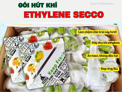 Gói hút khí Ethylene Secco 5g   Bí quyết giữ Chuối xanh lâu, không thâm vỏ 0