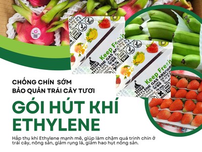 Gói hút khí Ethylene Secco 5g   Bí quyết giữ Chuối xanh lâu, không thâm vỏ 1