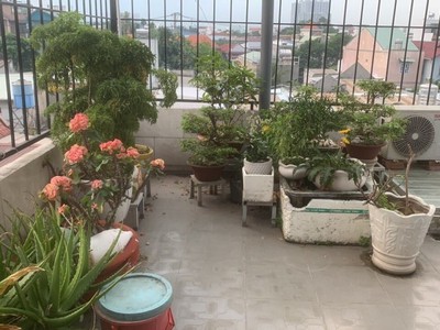 Bán nhà đường lê thị hoa, bình chiểu, thủ đức, tp hcm. dt 71m2, 3 tầng. giá  5.85 tỷ, shr - 4