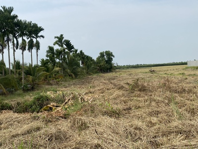 Bán đất đường Kênh 10, Lê Minh Xuân, Bình Chánh 2