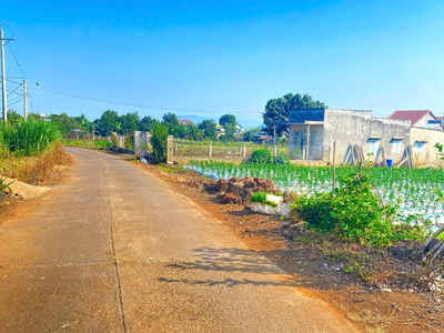 500m2 mặt hẻm tân phú, tân hội, đức trọng cũ, lâm đồng 1