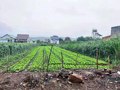 500m2 mặt hẻm tân phú, tân hội, đức trọng cũ, lâm đồng 2