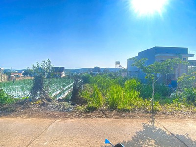 500m2 mặt hẻm tân phú, tân hội, đức trọng cũ, lâm đồng 3