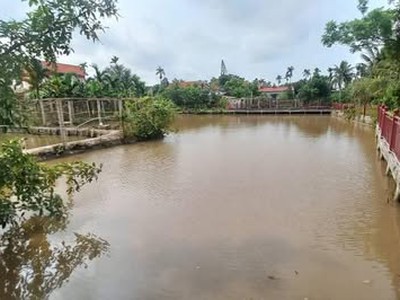 Bán đất nhà vườn tại Hòa Nghĩa, Dương Kinh, Hải Phòng. 1
