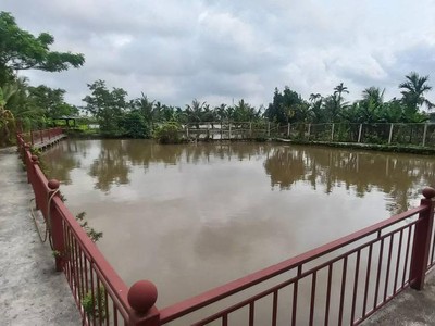 Bán đất nhà vườn tại Hòa Nghĩa, Dương Kinh, Hải Phòng. 2
