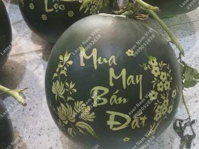 Dịch Vụ Nhận Gia Công Khắc Dưa Hấu Ngày Tết Đẹp, Ý Nghĩa, Theo Yêu Cầu 4