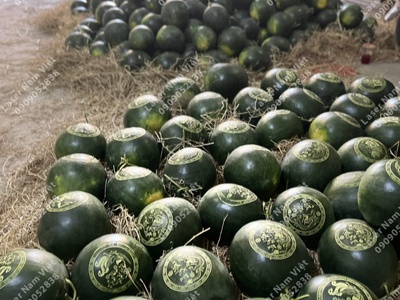 Bạn cần khắc dưa hấu cưới hỏi đẹp   lấy nhanh 4