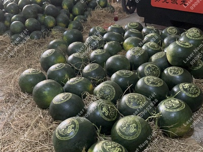 Bạn cần khắc dưa hấu cưới hỏi đẹp   lấy nhanh 6