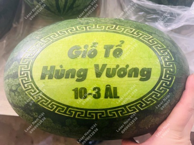 Bạn cần khắc dưa hấu cưới hỏi đẹp   lấy nhanh 1