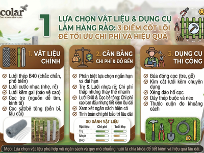 Hướng Dẫn Chi Tiết Cách Làm Hàng Rào Chống Bay Cho gà Ai Cập Bền Vững 1