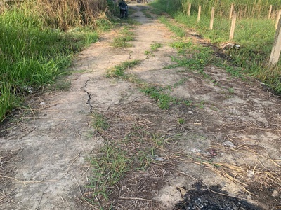 Bán đất nền 100 thổ cư tại xã mỹ lệ,cần đước, long an. 2