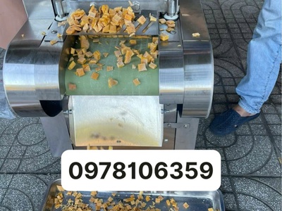 Máy thái trái cây sấy dẻo hạt lựu, máy thái xoài sấy dẻo, máy thái đu đủ sấy dẻo,máy thái thanh long 1