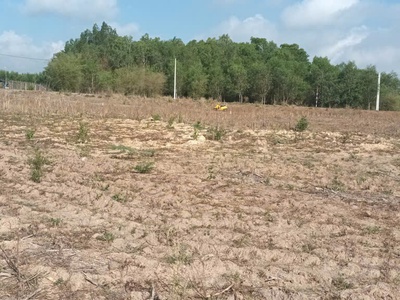 Bán đất ngộp 1050m2- Gò Sầm - Láng Dài -Đất Đỏ-HCM 0