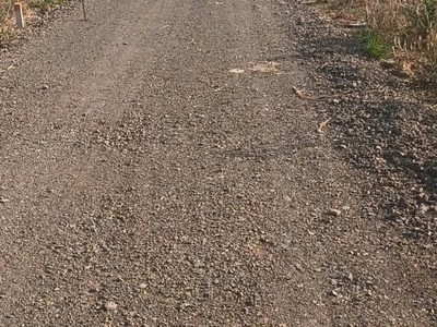 Bán đất ngộp 1050m2- Gò Sầm - Láng Dài -Đất Đỏ-HCM 2