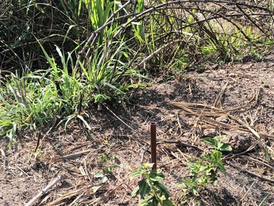 Bán đất ngộp 1050m2- Gò Sầm - Láng Dài -Đất Đỏ-HCM 3