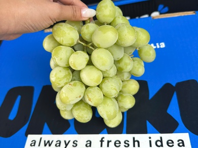 Nho Nhập Khẩu Từ Úc 0