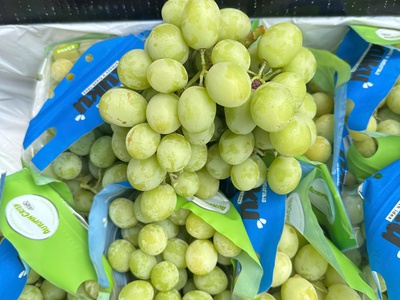 Nho Nhập Khẩu Từ Úc 1
