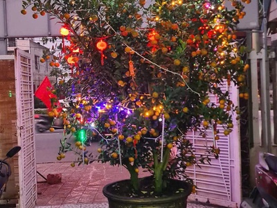 Bán đất tặng nhà 2 tầng đường lê văn hiến,ngũ hành sơn, đà nẵng. 1