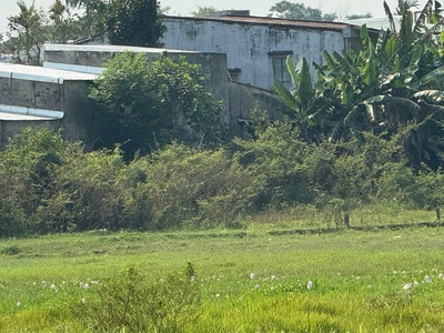 Bán đất đẹp   view cánh đồng quan châu, hòa xuân   đà nẵng 0
