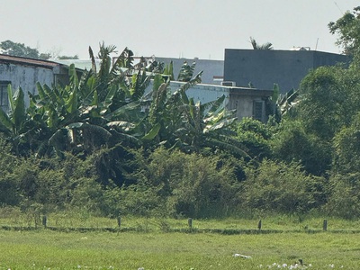 Bán đất đẹp   view cánh đồng quan châu, hòa xuân   đà nẵng 1