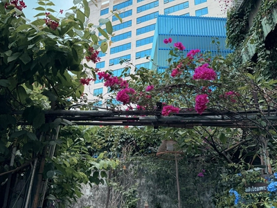 3.8t  căn hộ cũ giữa lòng sài gòn 0