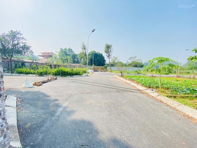 Hc2 - bán đất nền phú cát - lõi đô thị hòa lạc, sát chợ gần trường học gần nhà máy in tiền quốc gia 3