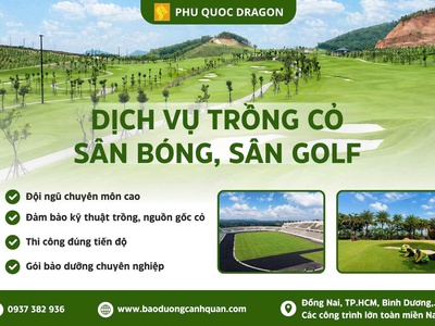 Trồng Cỏ Cảnh Quan Giá Rẻ ở Đồng Nai, TP.HCM 0