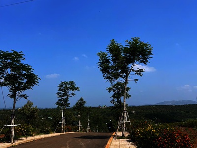  Đất ven đà lạt giá 3xx triệu   view đẹp, chốt ngay kẻo lỡ 1