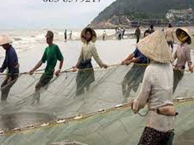 Lưới vét kéo cá, lưới nguyễn út 8