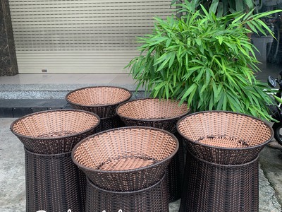 Sọt trưng trái cây mây nhựa 5