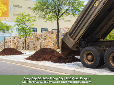 Đất Màu Tơi Xốp Giao Hàng TP.HCM Đồng Nai 0