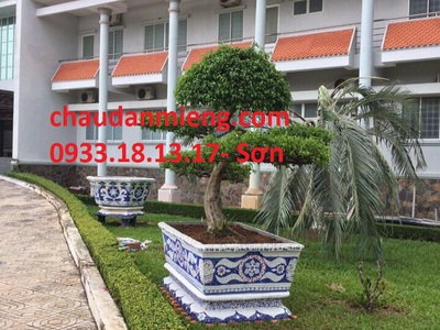 Nghệ nhân dán miễng sành sứ - ốp sành - chuyên chậu hoa - bể cá cảnh 1